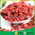 High quality dried golden goji berry